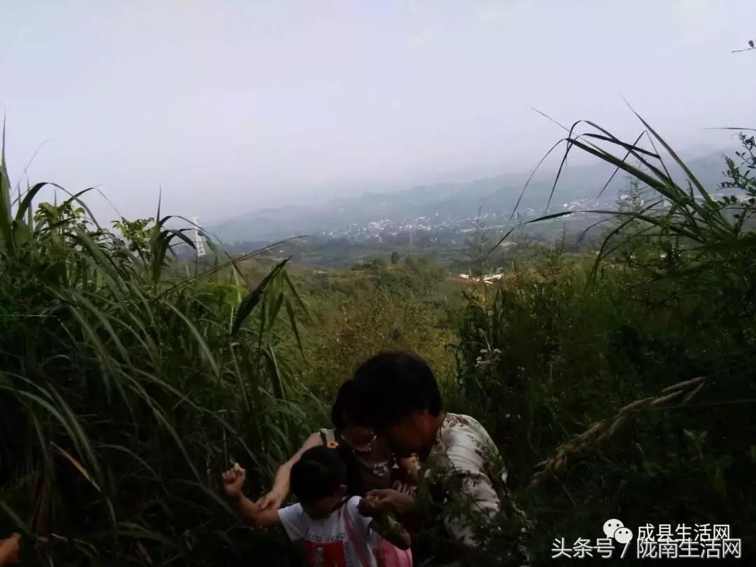 陇南市成县小川镇庙会,今年甘肃陇南成县泰山庙庙会