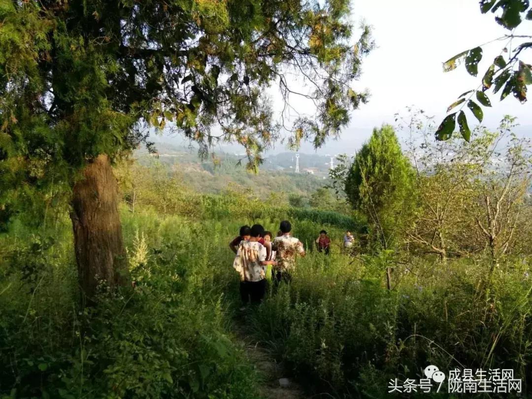 陇南市成县小川镇庙会,今年甘肃陇南成县泰山庙庙会