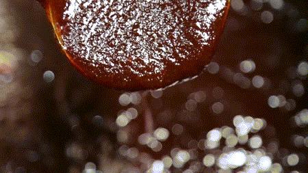 夏季感觉有感冒的征兆如何预防,夏天喝什么汤可以预防感冒