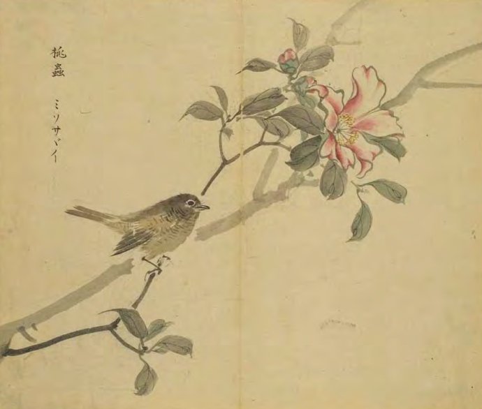 出自蒹葭的成语,蒹葭的成语