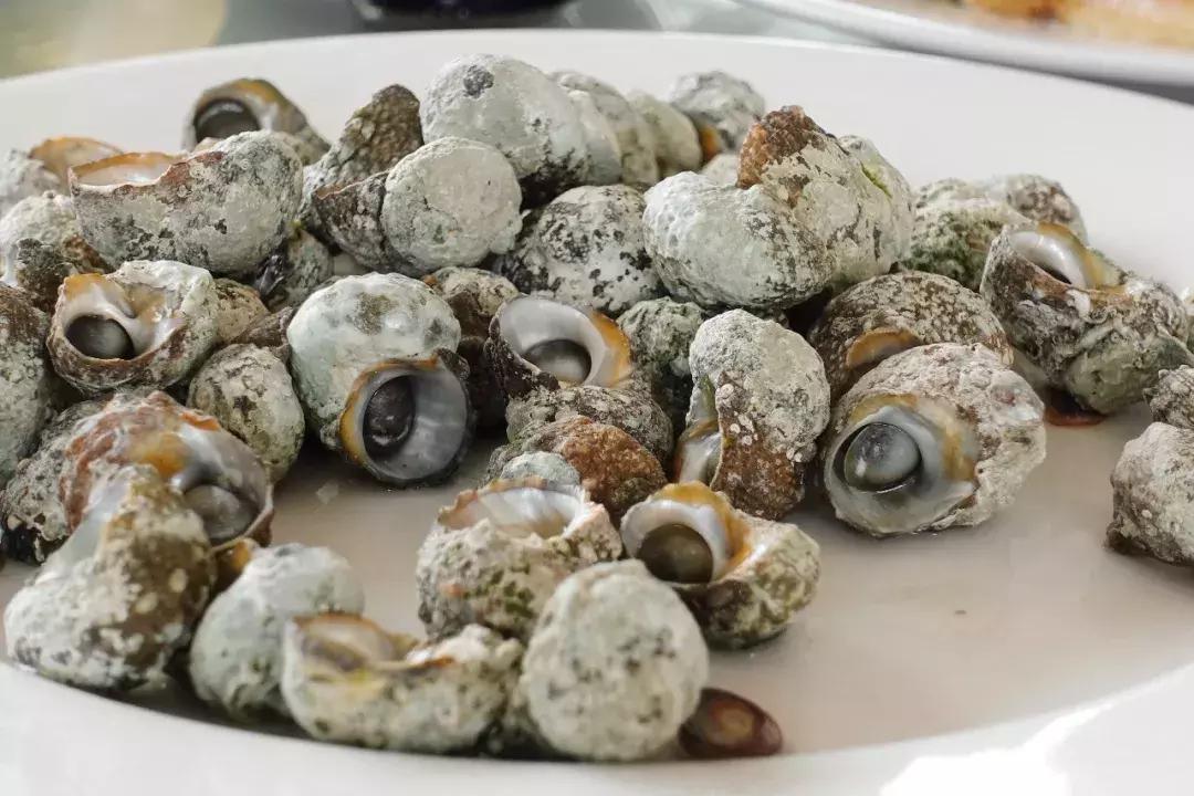 机票300+，海鲜100吃到撑，东山岛的神秘沙洲，每隔12小时会消失