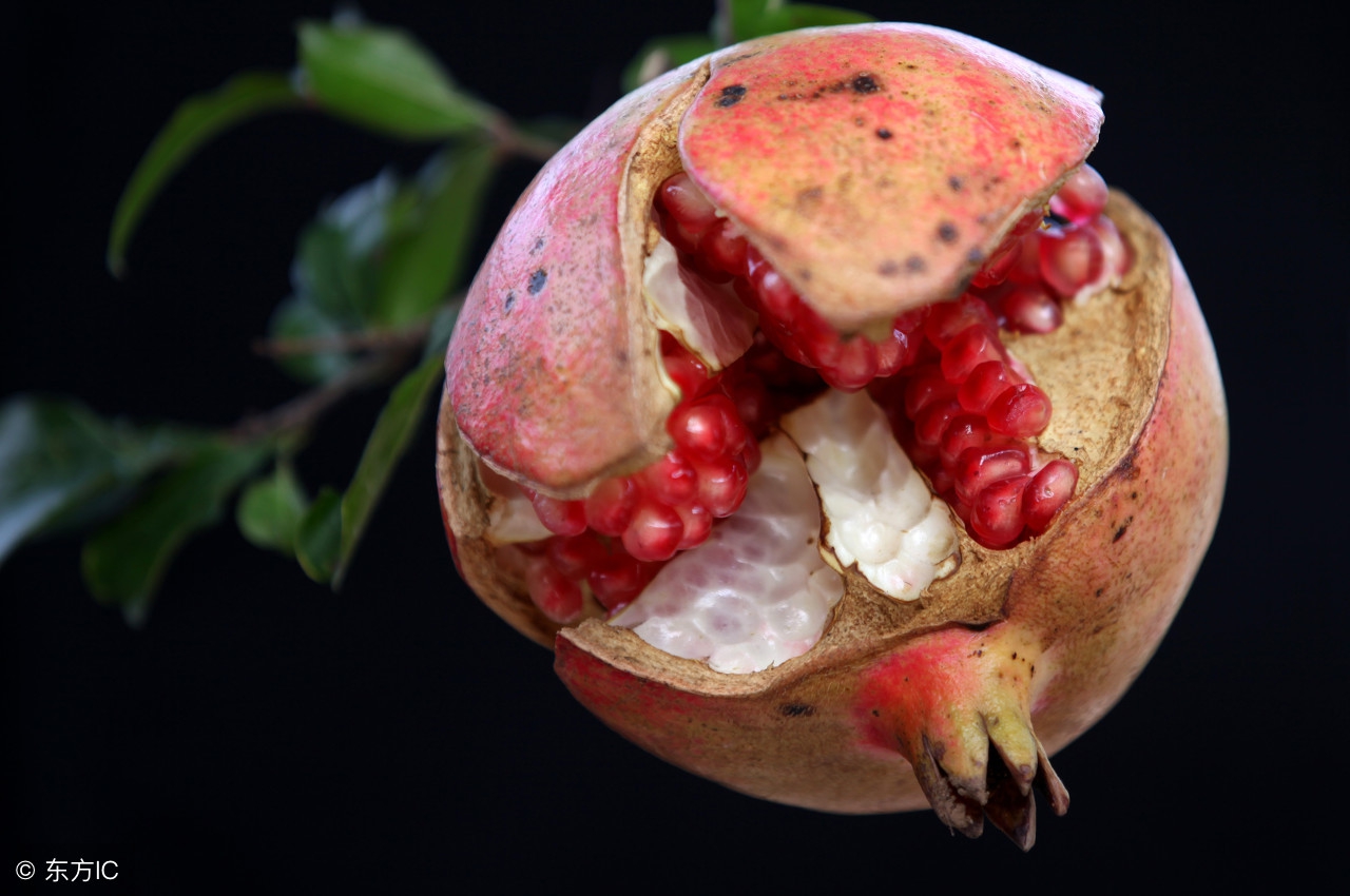 石榴树裂皮病怎么防治,石榴树怎样管理结的石榴果不裂开