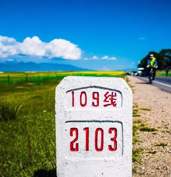 青海湖八月花海,七八月的青海湖油菜花