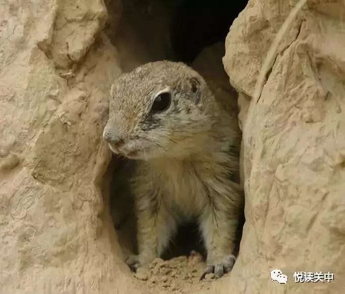 小时候的那些事视频,小时候的那些经历