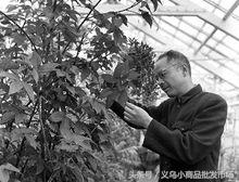 东阳中国木雕城分布图,东阳木雕工艺品价目表