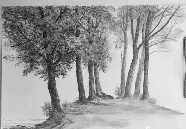 春天的美景素描,手把手教画风景