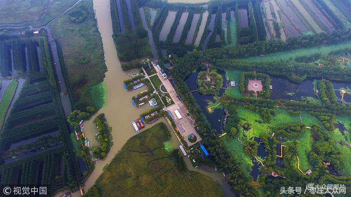 滕州微山湖红荷湿地摄影攻略,滕州微山湖湿地红荷宣传片