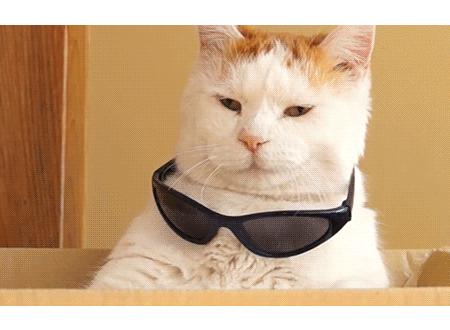 回购无数次的面膜,那些又大又值得回购的面膜