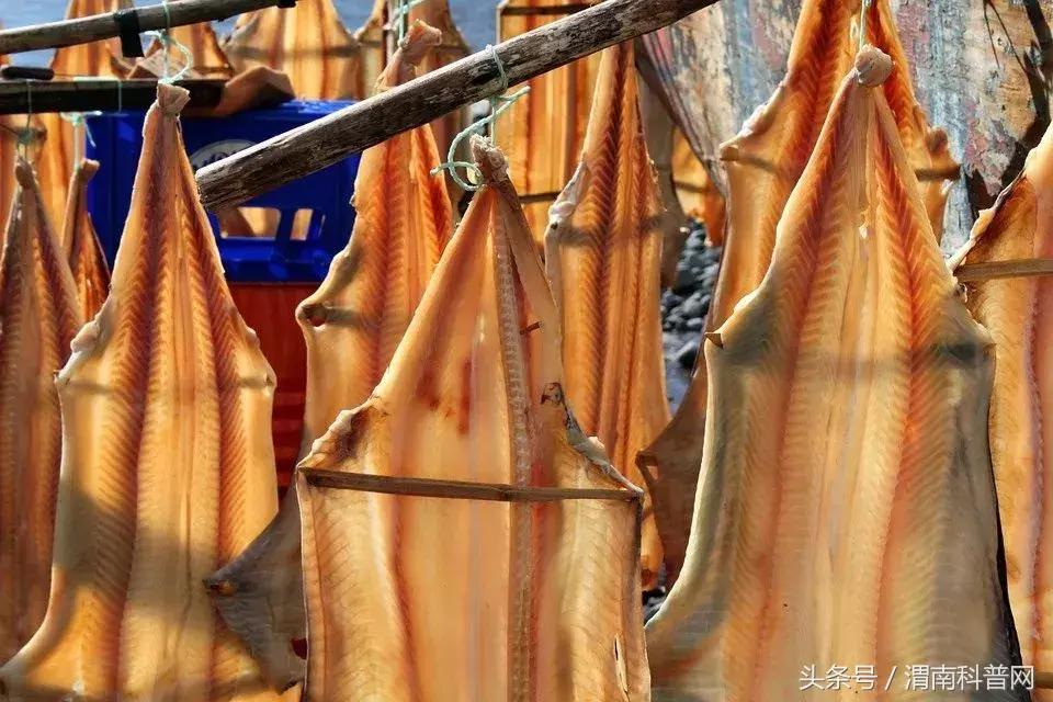 发霉食物伤肾、致癌，去掉坏的还能吃？