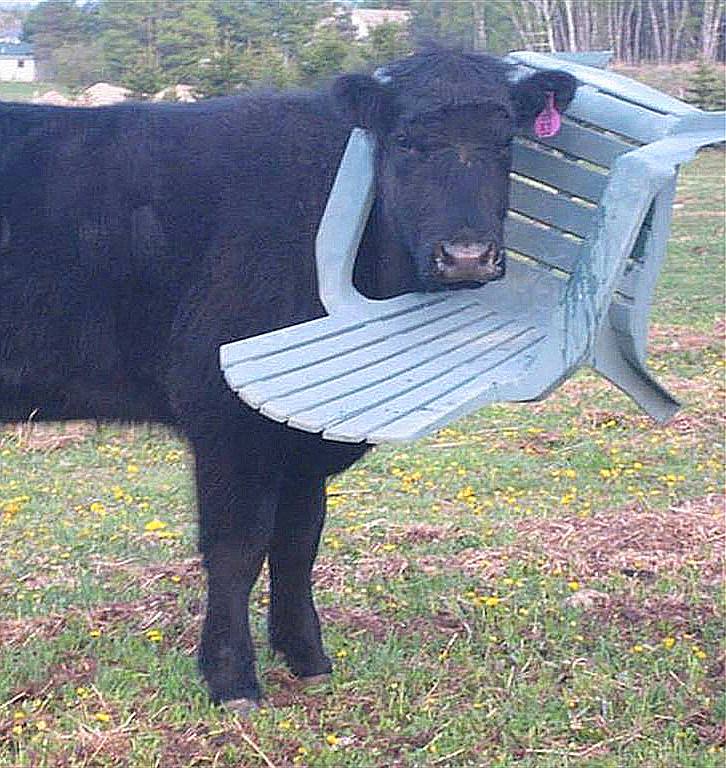 一位教授给孩子批改作业,一个老师给学生发试卷