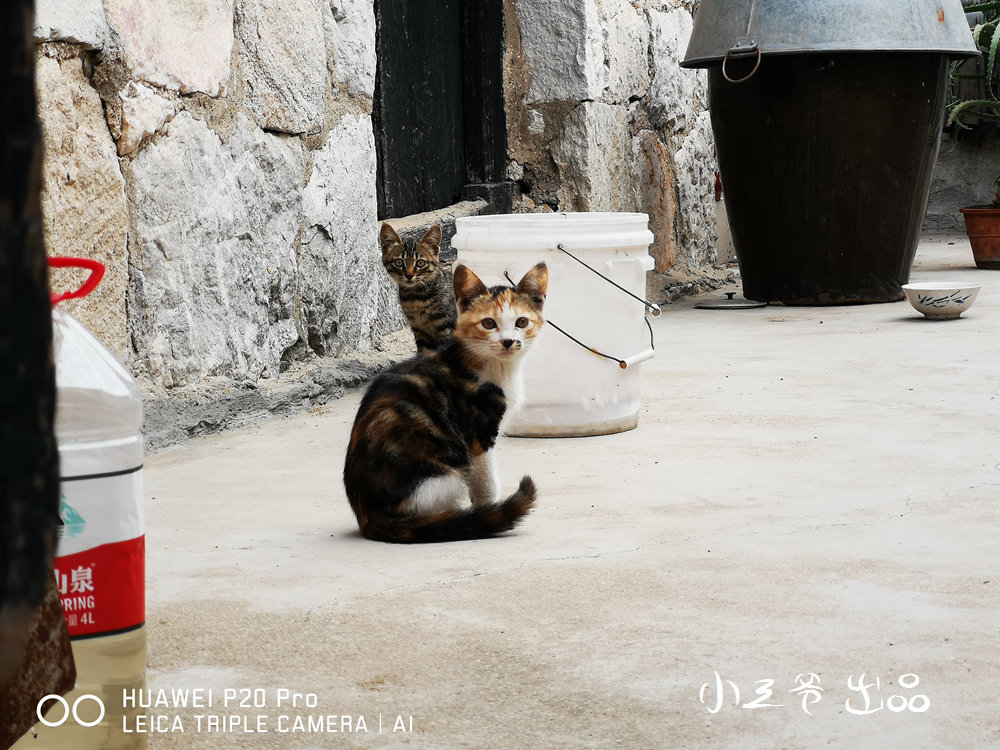 华为p20和nova5pro哪个值得入手,华为p20和p20pro拍照对比