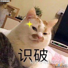 猫咪没有精神老是睡觉是怎么回事,猫咪睡觉咕咕咕的声音是怎么回事