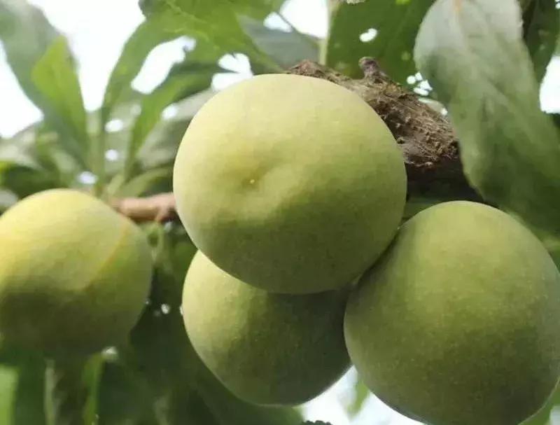 孟石岭张介｜人生就该奋斗