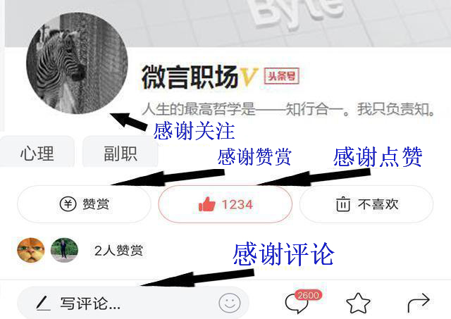 领导让写工作检查,同事的工作失误领导让我写检查