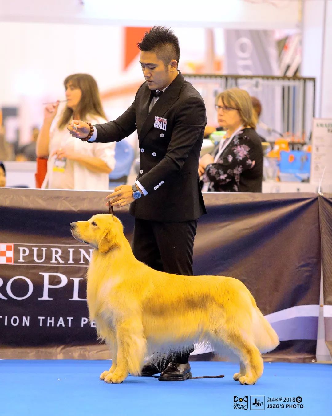 海润金毛比赛,中国海润金毛