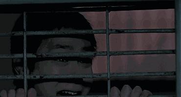 金基德经典视频,金基德年轻的照片