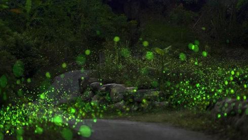 最美丽的霓虹灯光,最美丽的灯光夜晚不带字幕