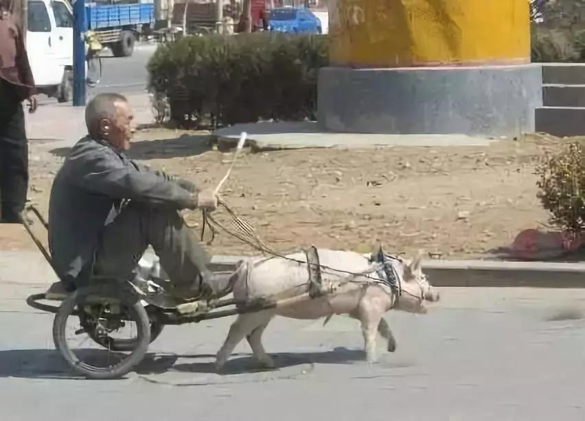 车！车！车！车！车！车！车！车！车！车！车！车！车！车！车！