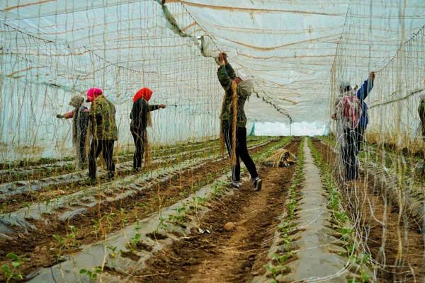 走遍天涯海角忘不了歌名叫什么,走遍天涯海角忘不了原唱