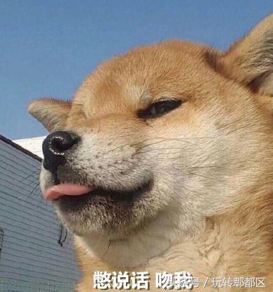 郫都野外自助烧烤,郫都红光户外自助烧烤