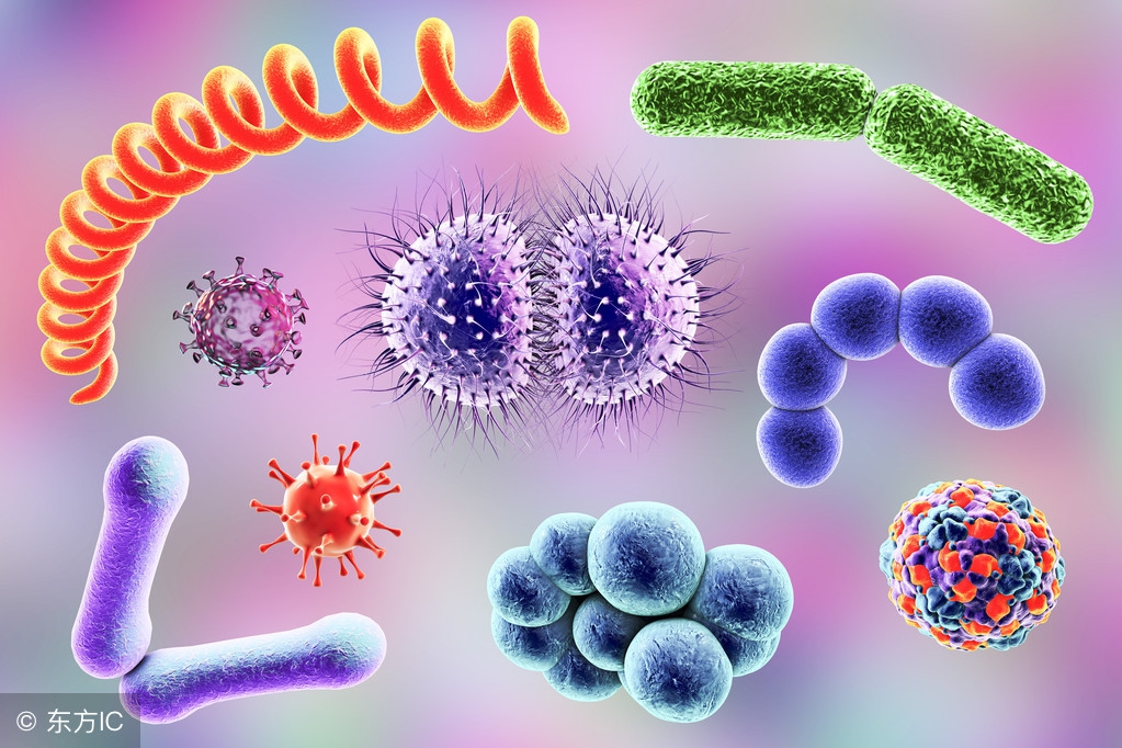 50种常见疾病药配方,10种慢性病必选药