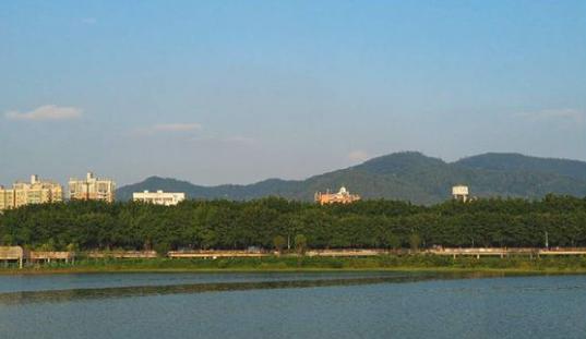 手机外挂微距镜头有用吗,手机加镜头能拍出单反的效果吗