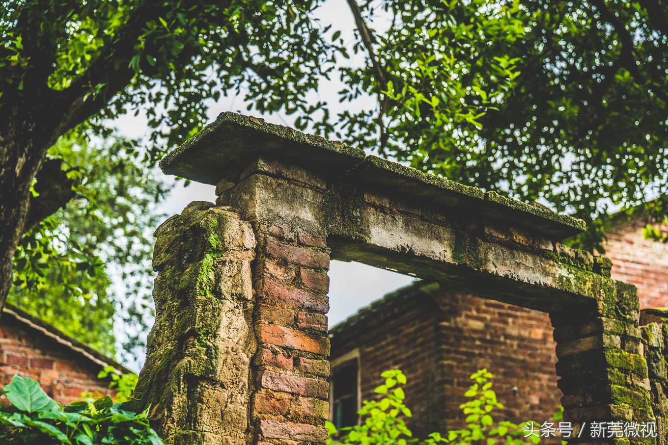 东莞一大古村,东莞具有世界工厂的称号