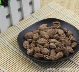 砂仁煲什么祛湿,春砂仁养胃祛湿汤