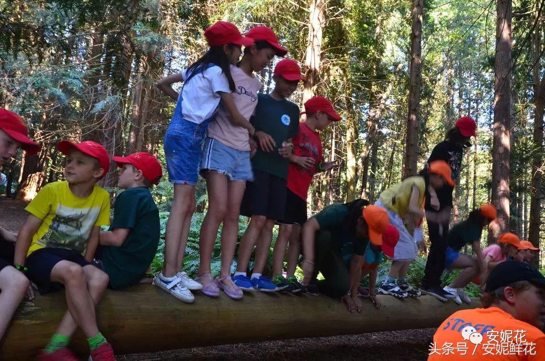 浸入式体验北美教育，安妮花2018童子军夏令营跨国行记