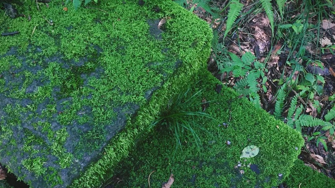 杭州临安万豪酒店效果图,杭州第二家万豪酒店