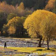 大沽河散文诗作品,大沽河的诗