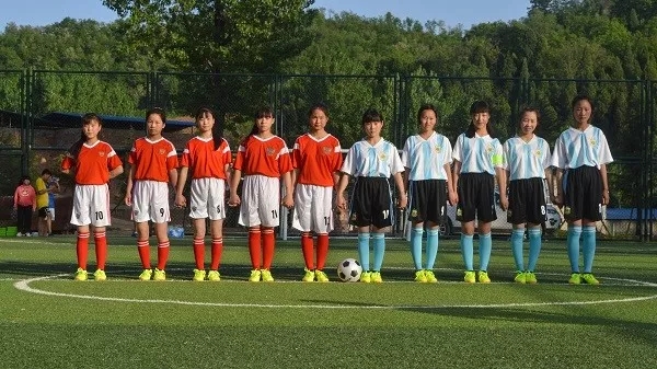 第一书记的主要工作内容,第一书记主要做法及取得的成效