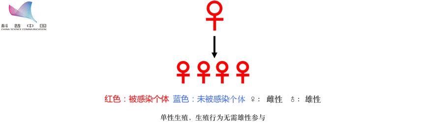 防蚊高手,夏季防蚊高手