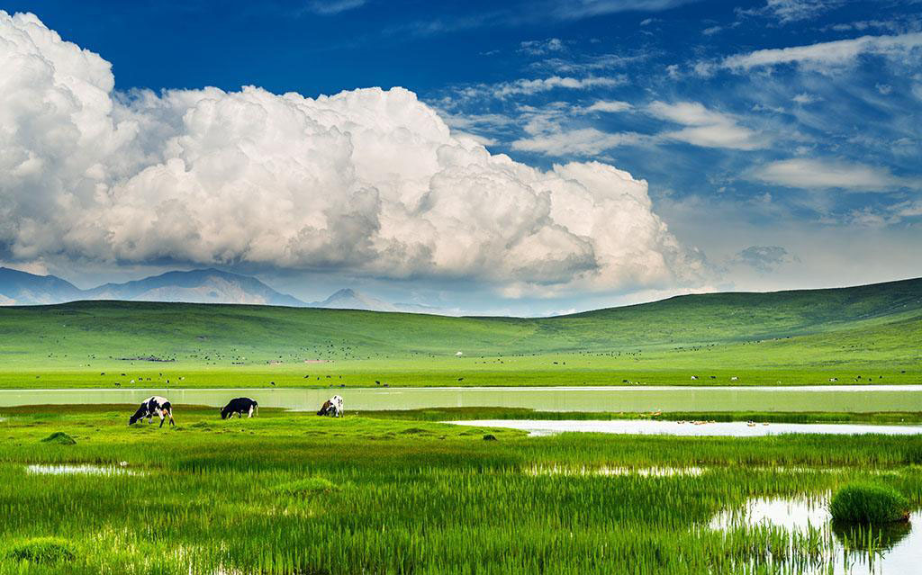 青海鲜为人知的5个秘境,在青海高原留下最美好的记忆