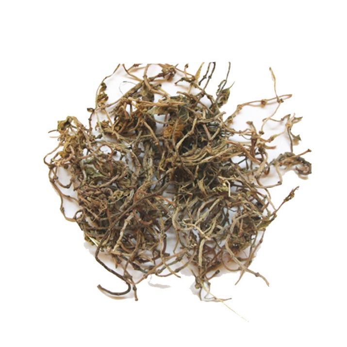 中药传奇之“垂盆草”——保肝护肝的“多肉”垂盆草