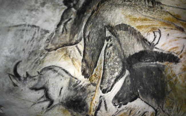 世界十*禁大**区千万不要因为好奇就想去！