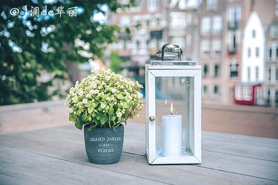 欧洲行荷兰鹿特丹,去荷兰看梵高