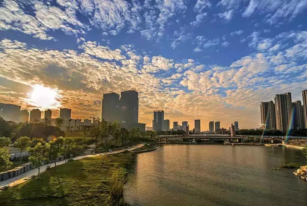 房屋出租需要网签备案吗,现在租房必须网签吗