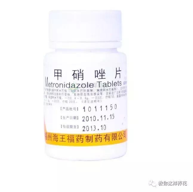 绿萝烂根之后的土还能养多肉吗,水培绿萝烂根用盐水消毒可以么