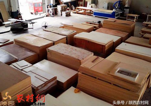 比城里混得好的3个农村创业项目！