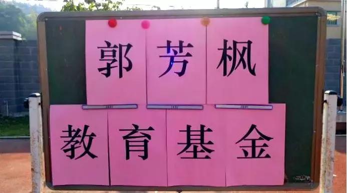 冰箱新飞超薄冰箱,冰箱新飞冰箱