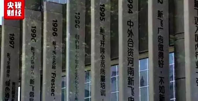 冰箱新飞超薄冰箱,冰箱新飞冰箱