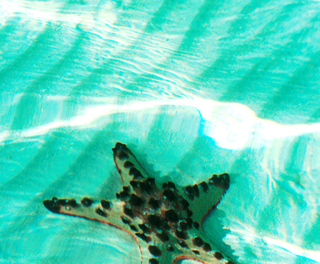 号称小马尔代夫的东南亚海岛,马尔代夫菲律宾小岛