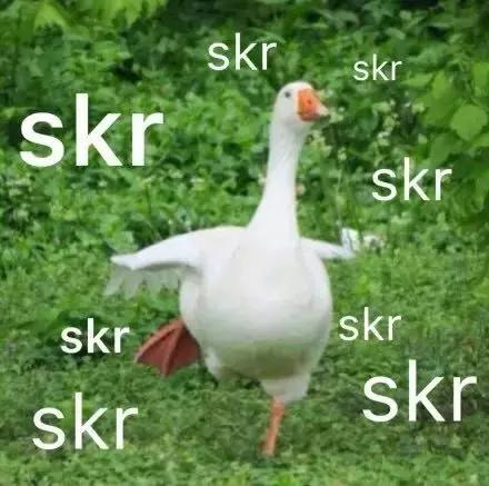 新生数学界最skr的存在，头发与成就并存，年仅30横扫各大数学奖