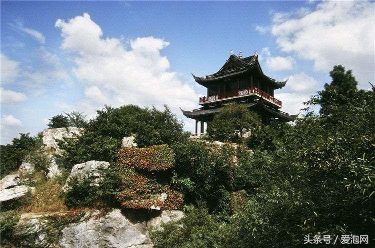 江浙沪深山老林旅游最好去处,清凉避暑好去处森林氧吧