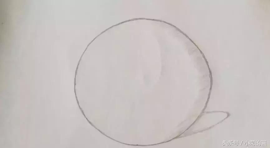 用素描纸素描笔画植物,素描手把手教学