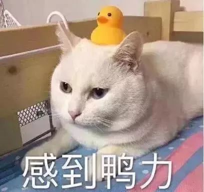 江苏省内汽车上牌政策,江苏放开汽车上牌限制