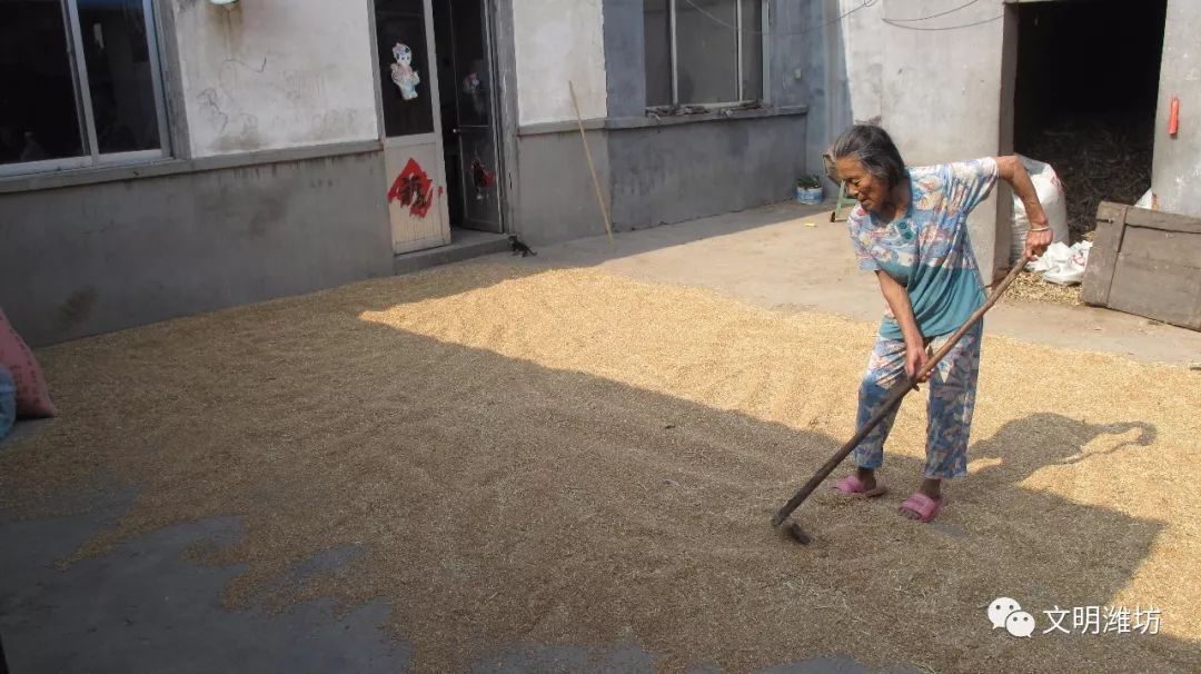 潍坊好人榜最新消息,2016年潍坊好人榜查询