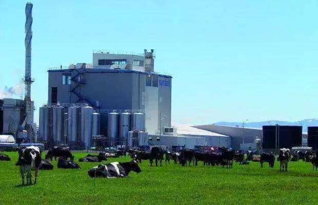 a*奶2**粉中国神话破灭？