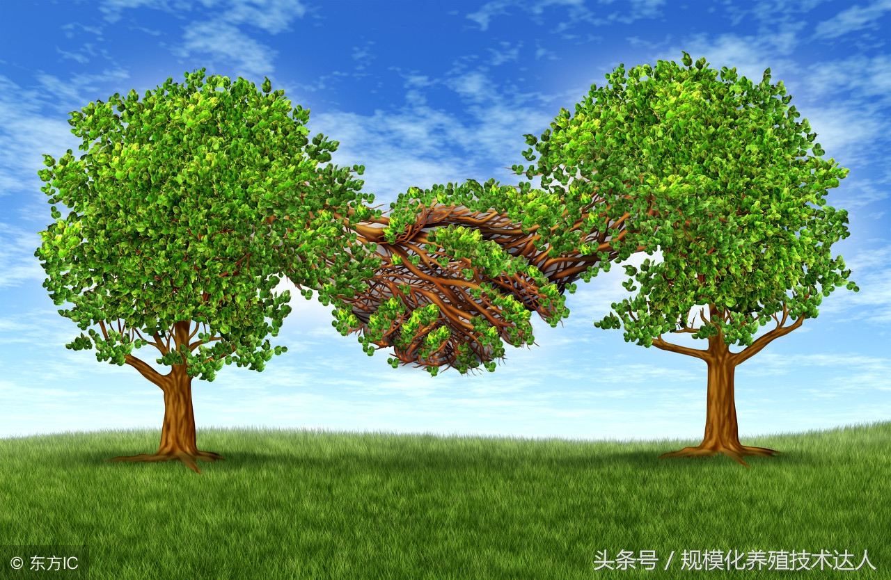 新建养猪场土地手续申请流程,新建猪场审批手续